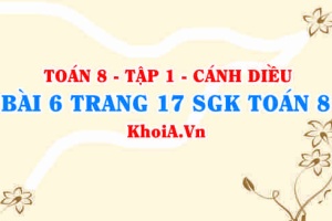 Bài 6 trang 17 SGK Toán 8 tập 1 Cánh Diều